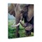 Stupell Industries Baby Elephant And Mother Canvas, design by James Corwin